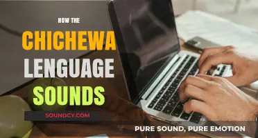 Exploring the Unique Rhythms and Melodies of the Chichewa Language