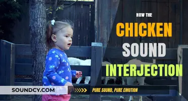 Clucks and Chirps: Decoding the Chicken Sound Interjection