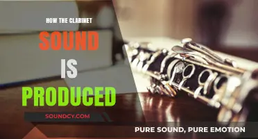 Unveiling the Clarinet's Magic: How Sound is Produced in Steps