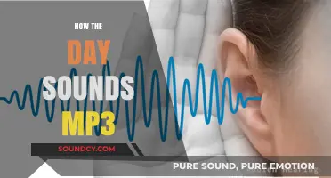 How the Day Sounds: Capturing Daily Life in MP3 Format