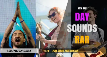 Exploring the Unique Acoustic Experience of 'How the Day Sounds Rar