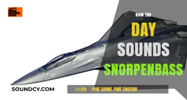 Exploring the Unique Sounds of a Day in Snorpenbass