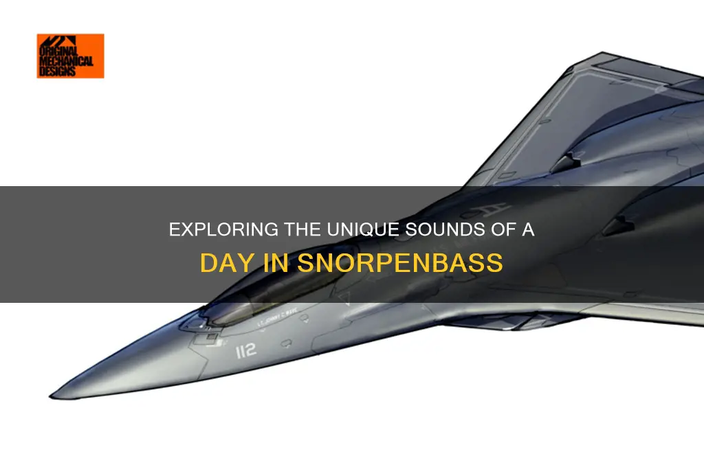 how the day sounds snorpenbass