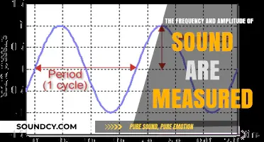 Measuring Sound: Understanding Frequency and Amplitude Quantification Techniques