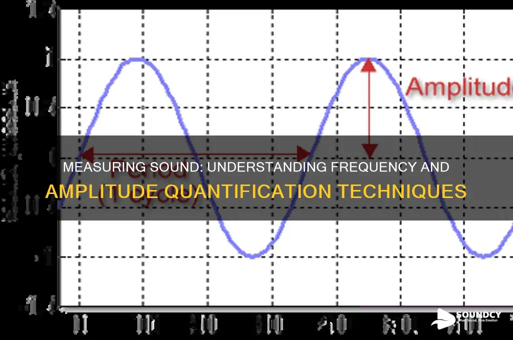 how the frequency and amplitude of sound are measured