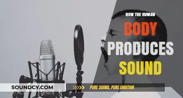 Unveiling the Science Behind How Our Bodies Create Sound
