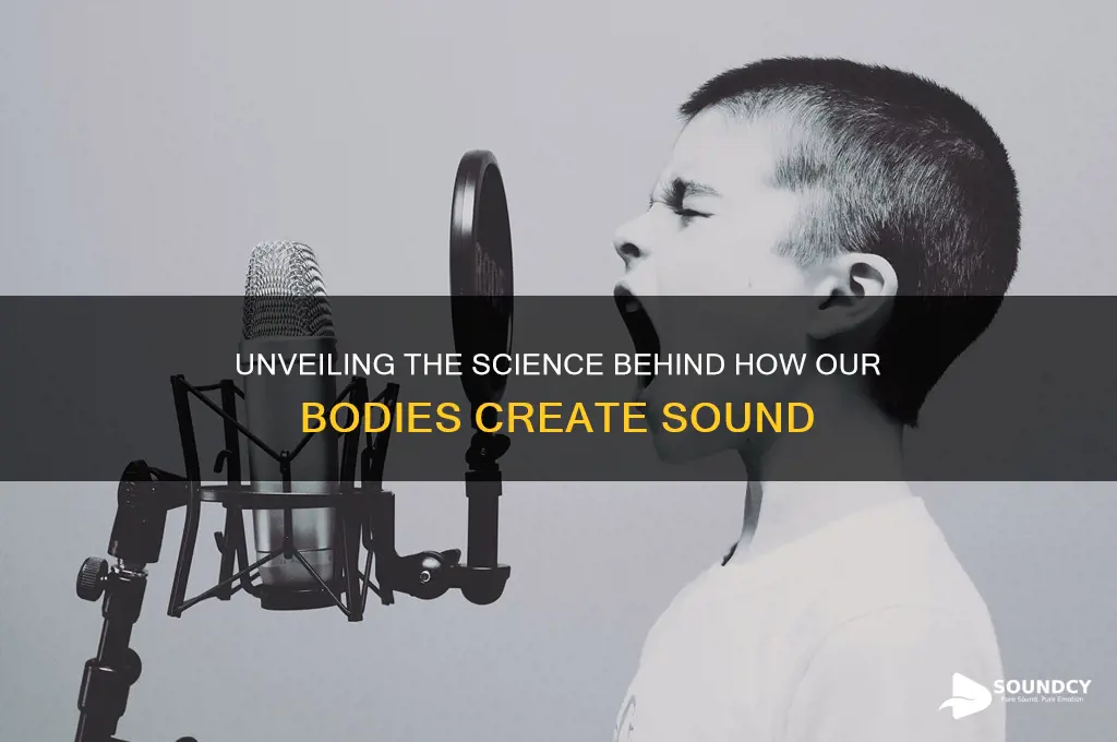how the human body produces sound