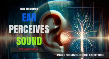 Unraveling the Mysteries of How Human Ears Decode Sound Waves