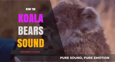 Unveiling the Unique Vocalizations of Koala Bears: Sounds and Communication