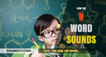 Understanding the Impact and Perception of the N-Word's Sound