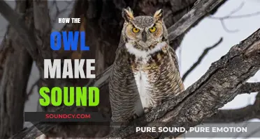 Unveiling the Mystery: How Owls Produce Their Unique Sounds