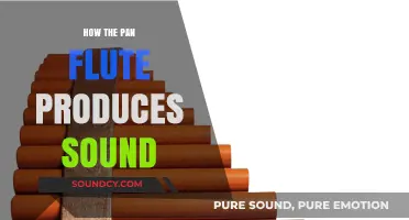 Unveiling the Pan Flute's Magic: How Air Creates Enchanting Melodies