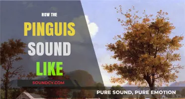 Unveiling the Mystical Pinguis Sound: A Sonic Exploration and Analysis