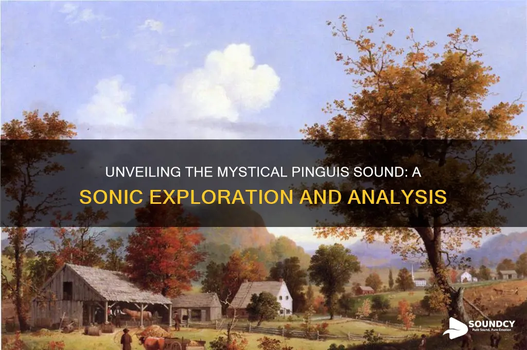 how the pinguis sound like
