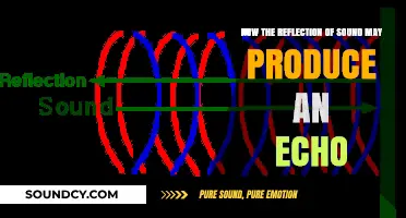 Understanding Echoes: How Sound Reflection Creates Reverberating Effects