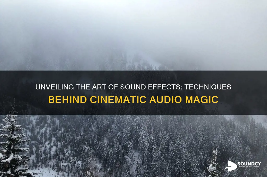 how they made sound fx