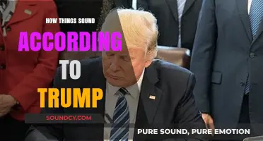 Trump's Unique Auditory Perspective: Decoding How He Hears the World