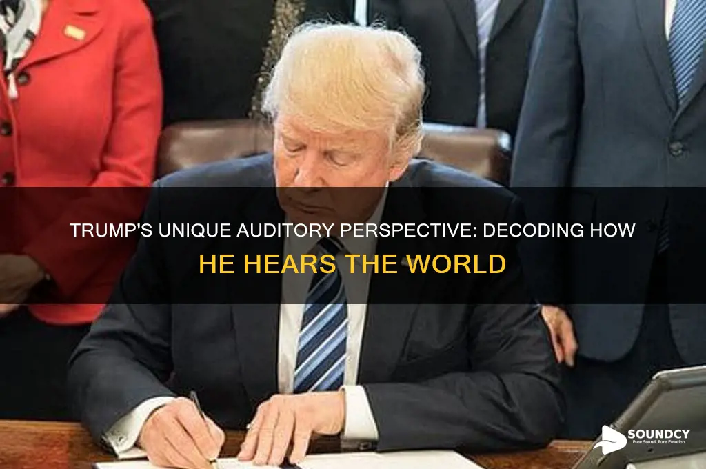 how things sound according to trump