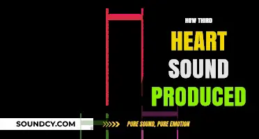 Understanding the Mechanism Behind the Production of Third Heart Sound