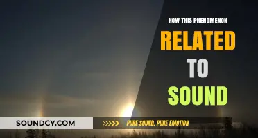 Unveiling the Intriguing Connection Between Sound and Natural Phenomena