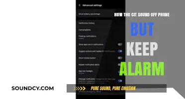 Silence Calls, Keep Alarms: Mastering Phone Sound Settings Easily