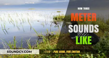 Exploring the Sonic Depth: What Three Meters Sounds Like in Nature