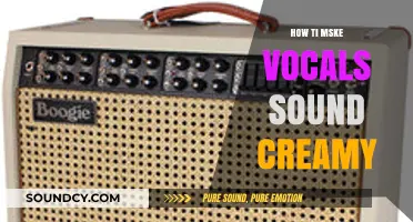 Achieve Creamy Vocals: Essential Mixing Techniques for Smooth, Rich Sound