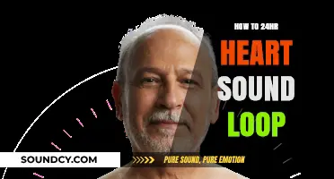 Mastering Continuous Heart Sound Monitoring: A 24-Hour Loop Guide