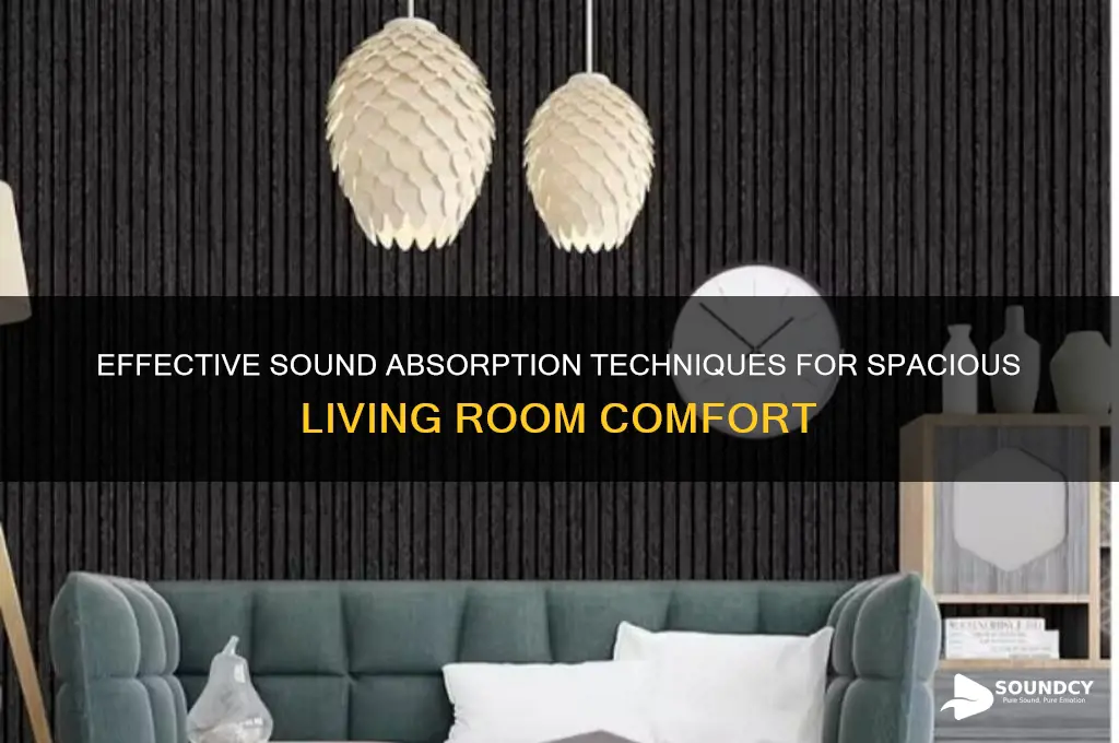 how to absorb sound in a large living oom