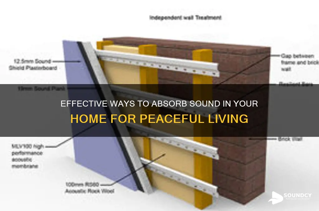 how to absorb sound in house
