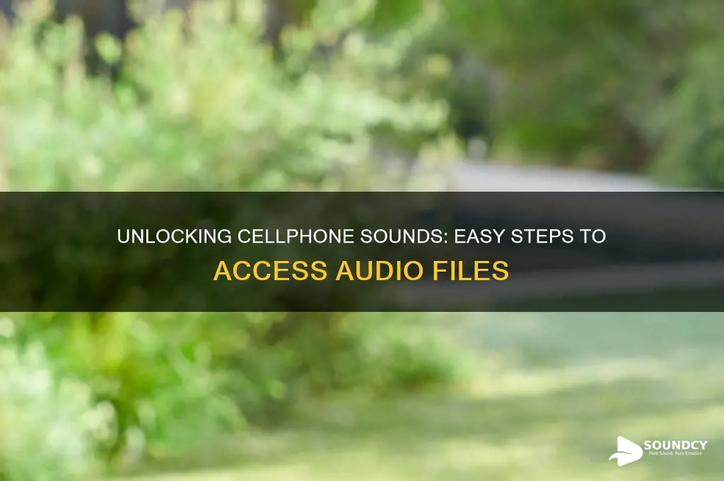 how to access cellphone sounds