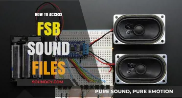 Accessing FSB Sound Files: A Comprehensive Guide for Beginners