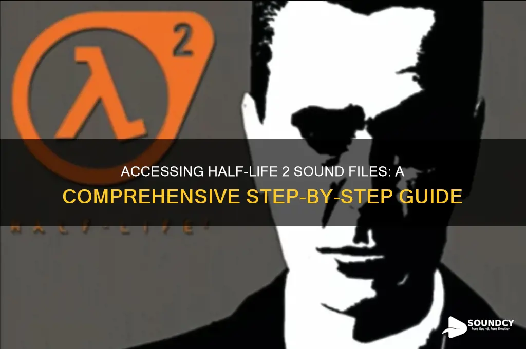 how to access hl2 sounds