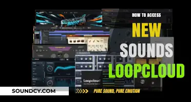 Unlocking Loopcloud: Discover and Access New Sounds Effortlessly
