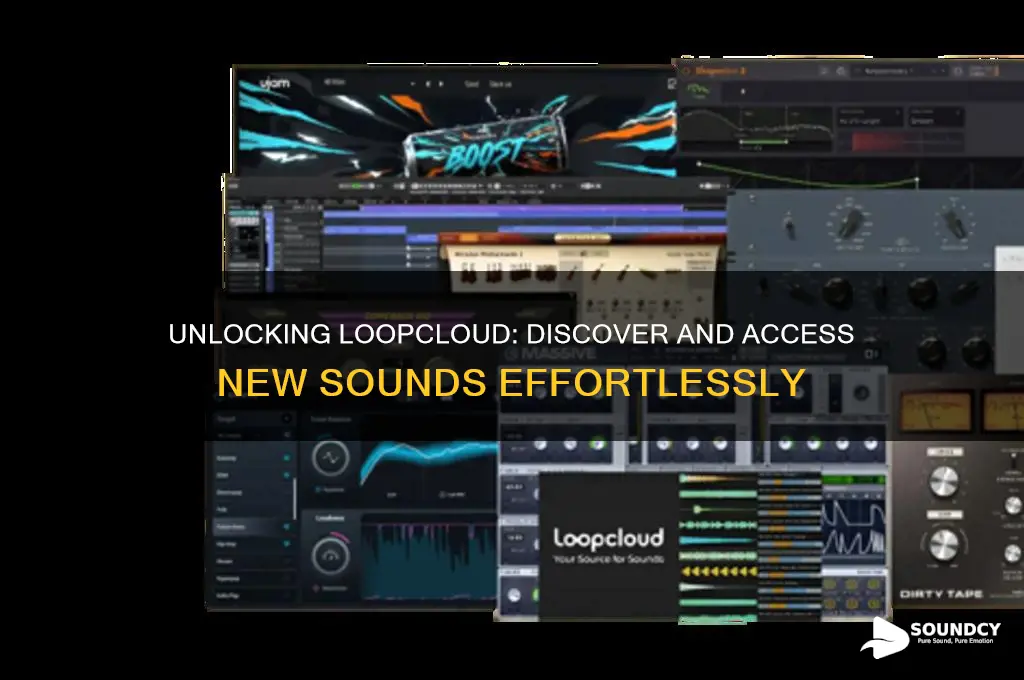 how to access new sounds loopcloud