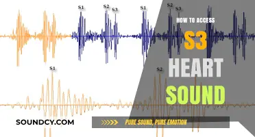 Accessing S3 Heart Sound: A Comprehensive Guide for Medical Professionals
