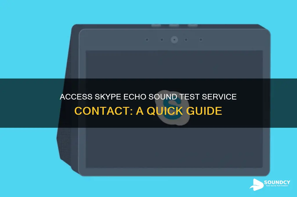 how to access skype echo sound test service contact