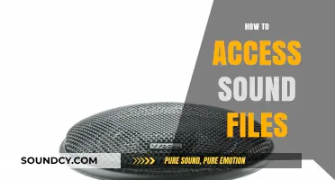 Mastering Audio Access: A Guide to Locating and Using Sound Files