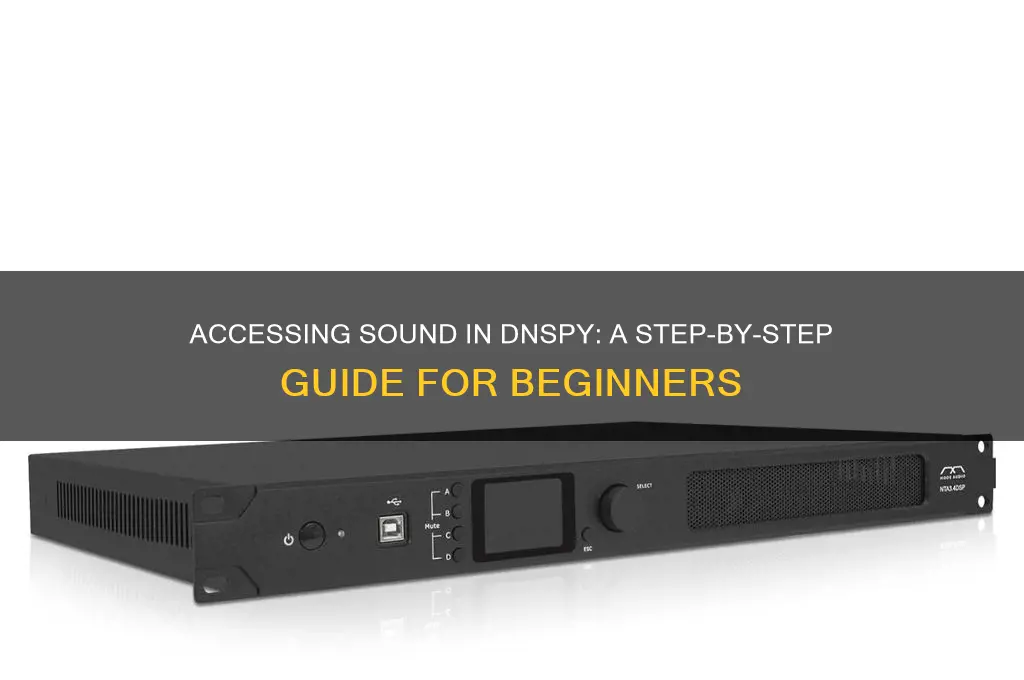 how to access sound in dnspy