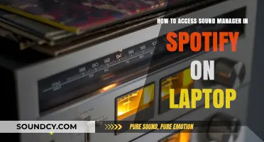Accessing Spotify Sound Manager on Your Laptop: A Quick Guide