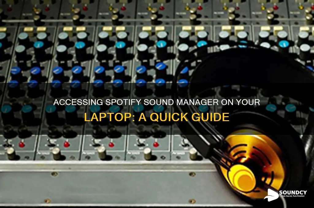 how to access sound manager in spotify on laptop