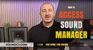 Mastering Audio Control: A Step-by-Step Guide to Accessing Sound Manager