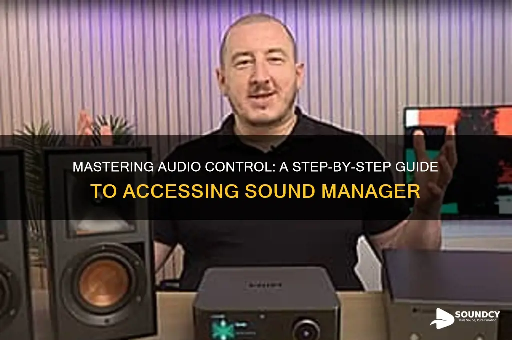 how to access sound manager