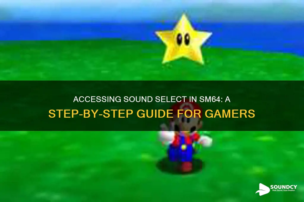 how to access sound select sm64
