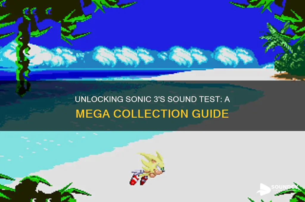 how to access sound test sonic 3 mega collection