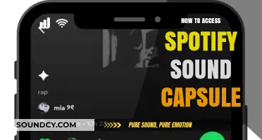 Unlock Spotify Sound Capsule: A Step-by-Step Access Guide