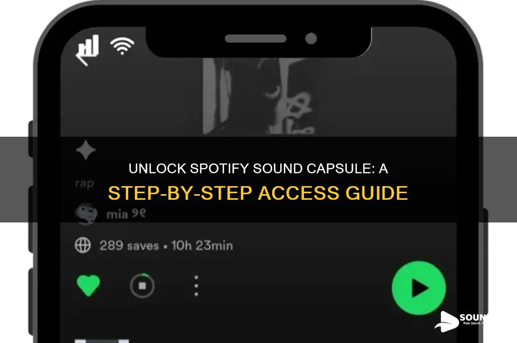 how to access spotify sound capsule