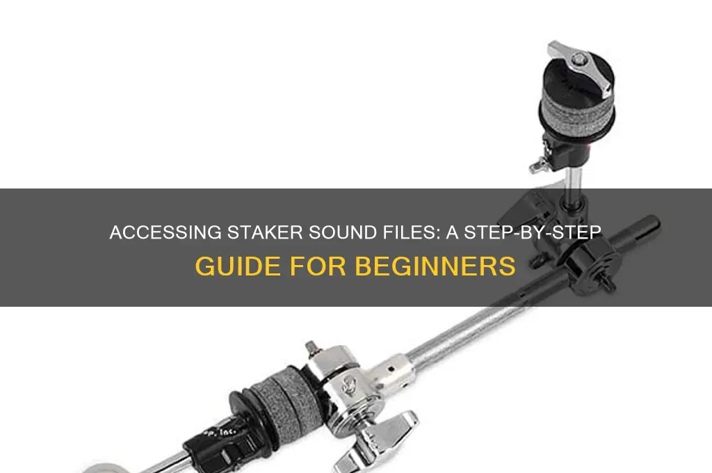 how to access staker sound files