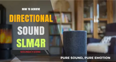 Mastering Directional Sound with SLM4R: Techniques for Precision Audio