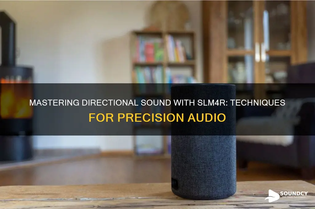 how to achieve directional sound slm4r